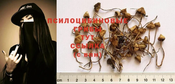 ALPHA-PVP Абинск