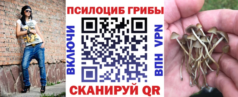 Галлюциногенные грибы Magic Shrooms  Иноземцево 